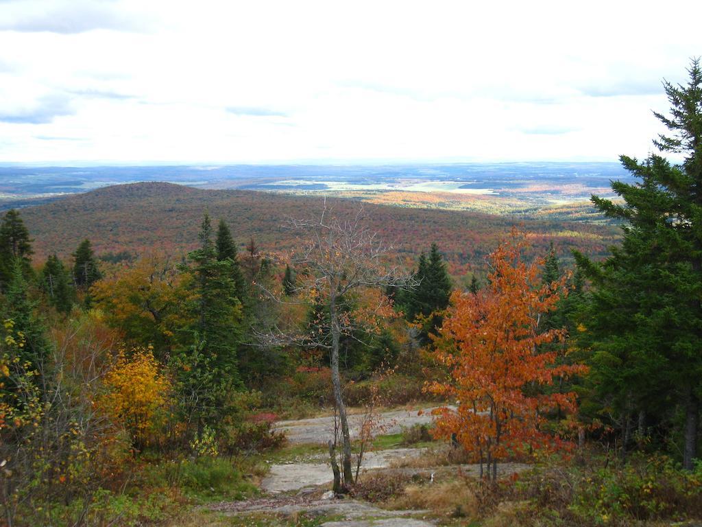 Le Gite Ambrelane Thetford Mines Exteriér fotografie