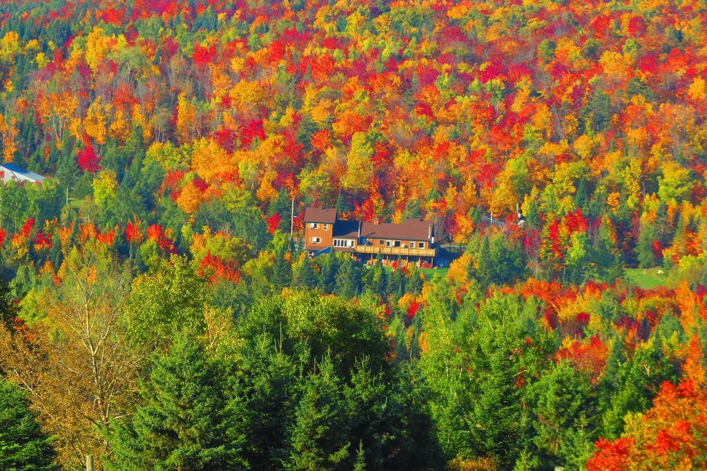 Le Gite Ambrelane Thetford Mines Exteriér fotografie