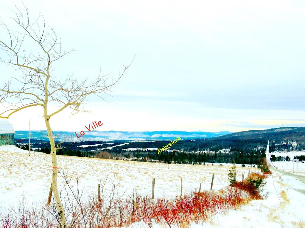 Le Gite Ambrelane Thetford Mines Exteriér fotografie