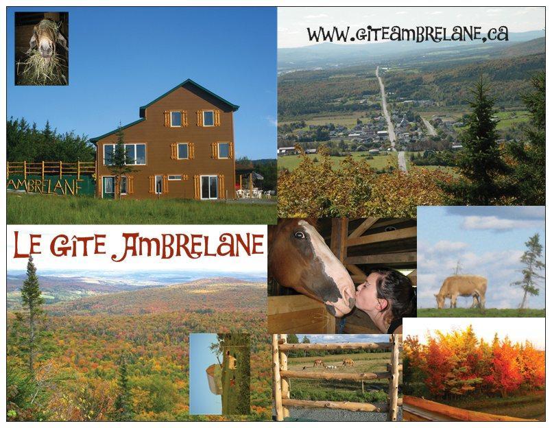 Le Gite Ambrelane Thetford Mines Exteriér fotografie