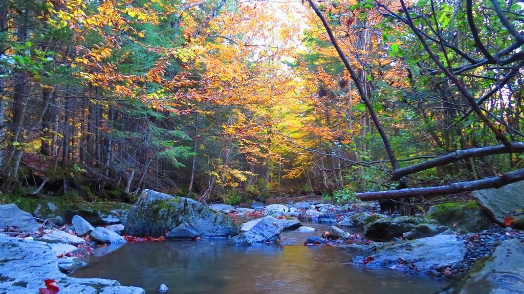 Le Gite Ambrelane Thetford Mines Exteriér fotografie