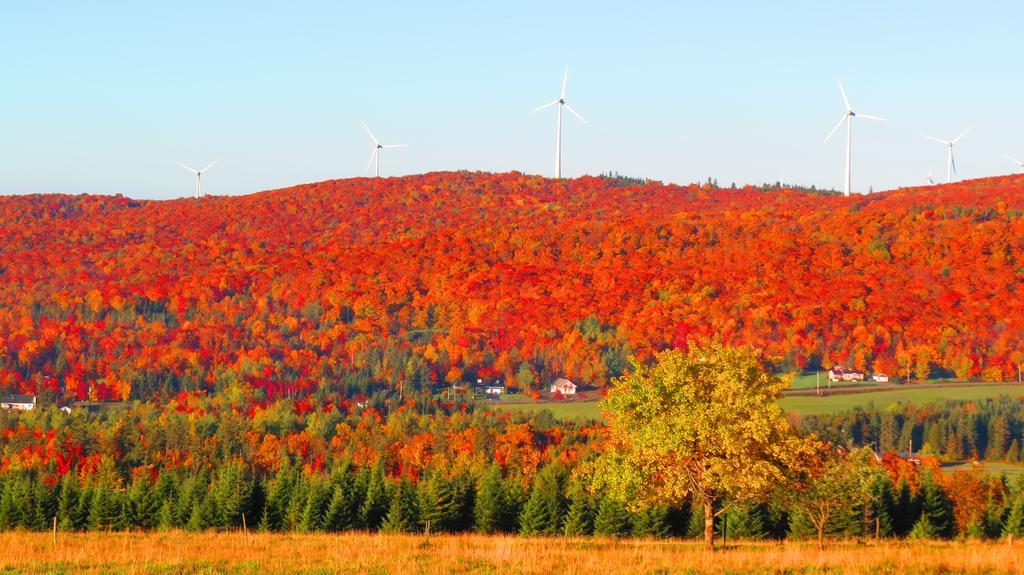 Le Gite Ambrelane Thetford Mines Exteriér fotografie