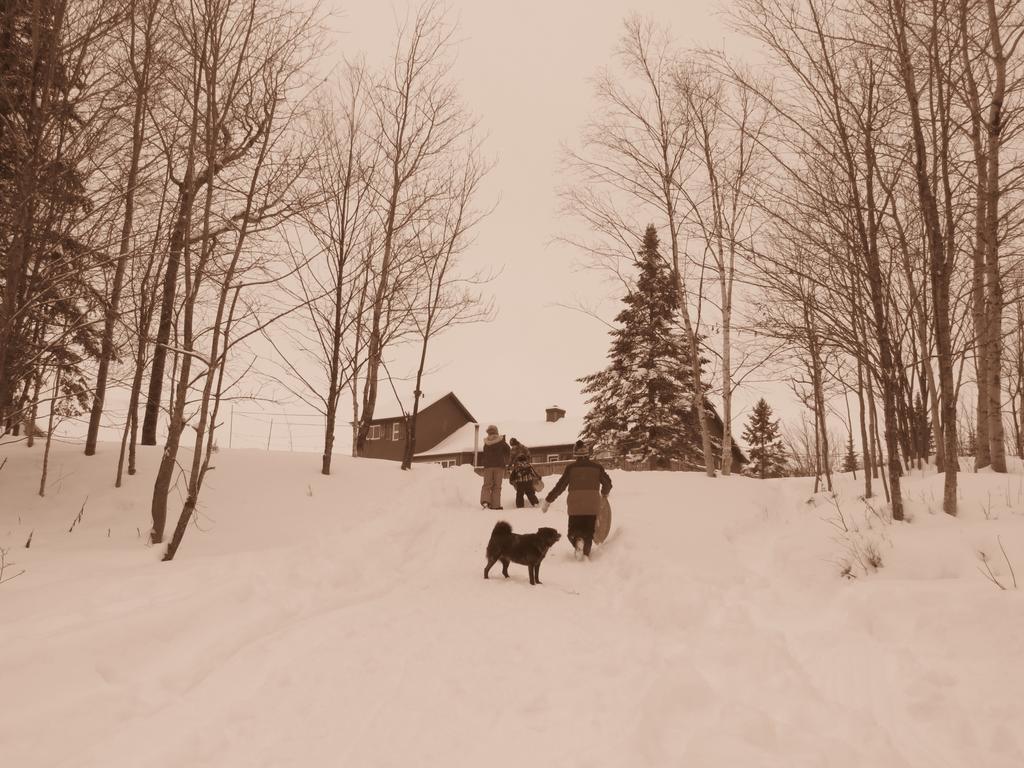 Le Gite Ambrelane Thetford Mines Exteriér fotografie